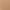 Almond Bloch Cordelia Mesh Leotard