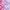 Amethyst Ombre Butterfly Fantasy Prints Leotard